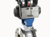 Segment Ball Valve