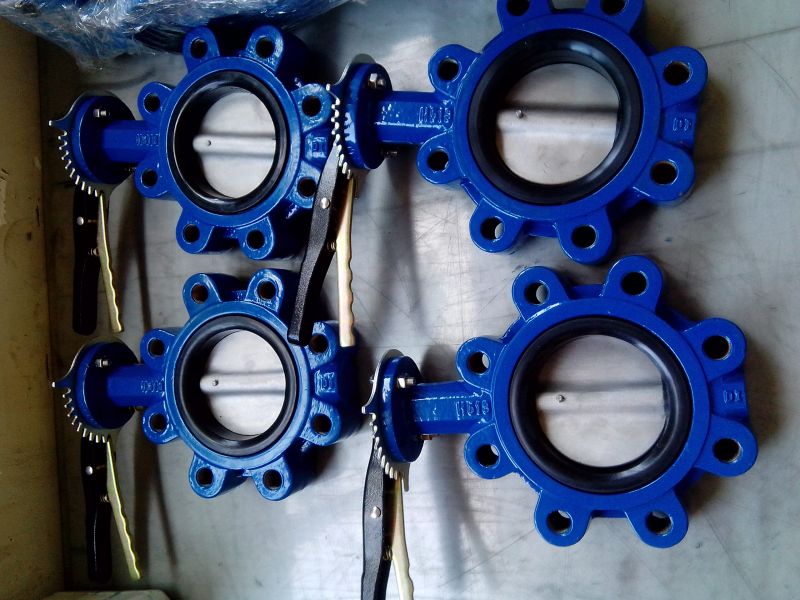 Lug type manual rubber seat butterfly valve